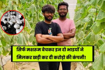 A3R Mushroom Farms Success Story: सिर्फ मशरूम बेचकर इन दो भाइयों ने मिलकर खड़ी कर दी करोड़ो की कंपनी, पढ़े पूरी कहानी!