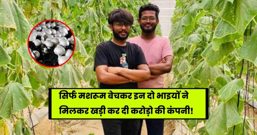 A3R Mushroom Farms Success Story: सिर्फ मशरूम बेचकर इन दो भाइयों ने मिलकर खड़ी कर दी करोड़ो की कंपनी, पढ़े पूरी कहानी!